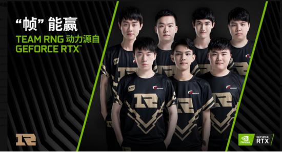 蘑菇高清画 蘑菇高清画